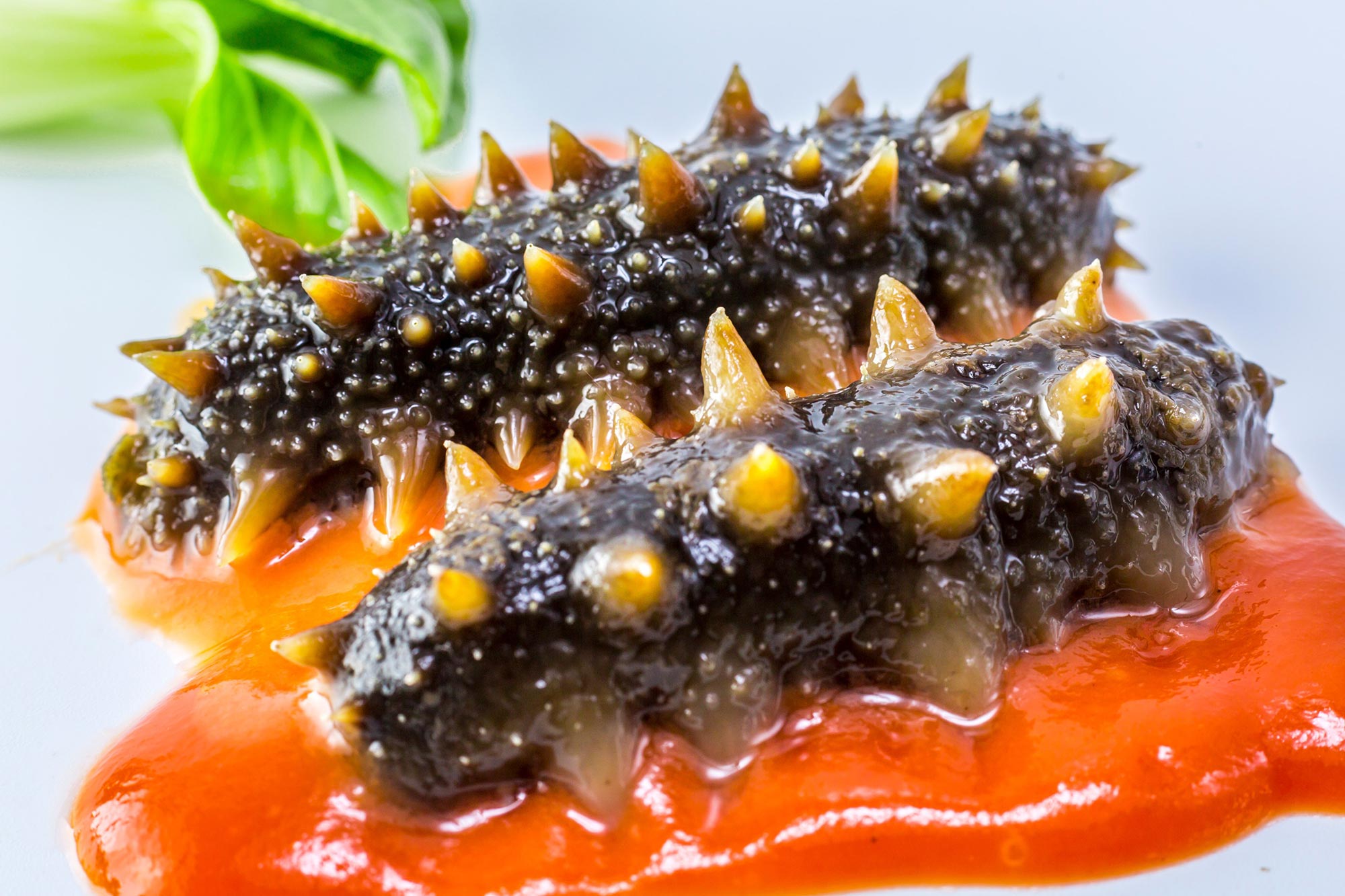 Read more about the article Sea cucumbers: The marine delicacy that can deter diabetes