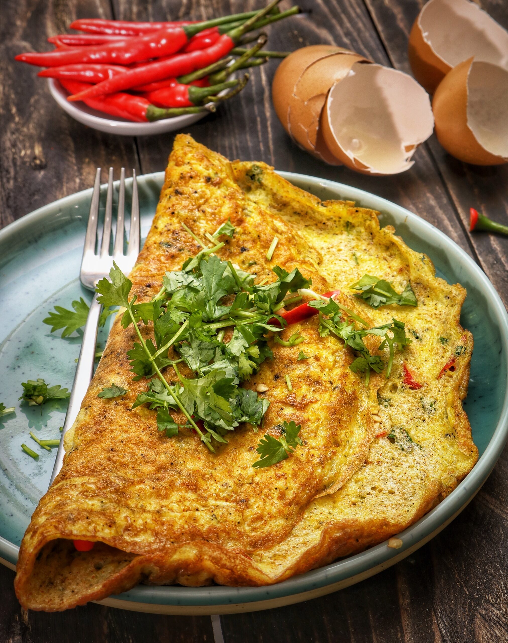 Read more about the article Veggie Omelette